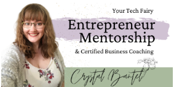 Business Coaching/Mentorship